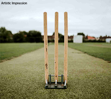 Net Cricket