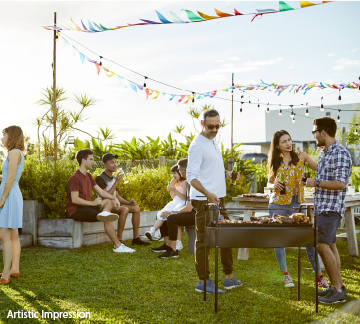 Party Lawn