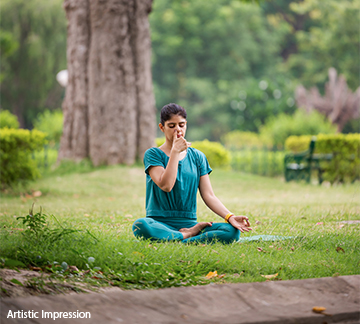 Yoga Area